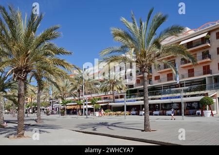 Promenade du port avec palmiers et restaurants, Port d'Alcudia, Majorque, Îles Baléares, Espagne Banque D'Images