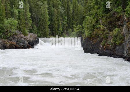 Cascade Overlander Falls, fleuve Fraser, parc provincial Mount Robson, Colombie-Britannique, Canada Banque D'Images