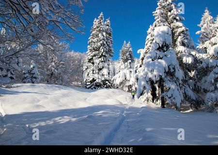 Randonnées skieurs sur une randonnée à ski dans un paysage hivernal près de Mittenwald, Werdenfelser Land, haute-Bavière, Bavière, Allemagne du Sud, Allemagne, Europe Banque D'Images