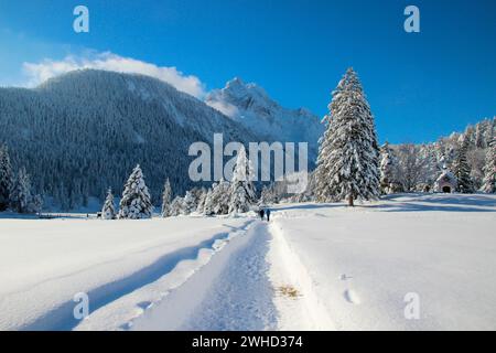 Touristes dans le paysage d'hiver à Lautersse avec Maria Königin Chapelle, Wetterstein, Mittenwald, Werdenfelser Land, haute-Bavière, Bavière, germe du Sud Banque D'Images