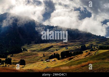 Vue de la Seceda Alm au Groupe Scharte (2495m), Parc naturel de Puez-Geisler, Val Gardena, Province de Bolzano, Haut Adige, Tyrol du Sud, Alpes, Dolomites, Trentin-Tyrol du Sud, Italie, Italia Banque D'Images