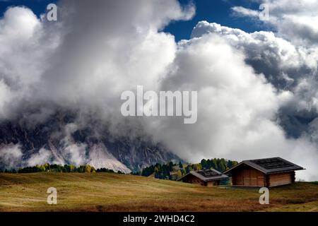 Vue de la Seceda Alm au Groupe Scharte (2495m), Parc naturel de Puez-Geisler, Val Gardena, Province de Bolzano, Haut Adige, Tyrol du Sud, Alpes, Dolomites, Trentin-Tyrol du Sud, Italie, Italia Banque D'Images
