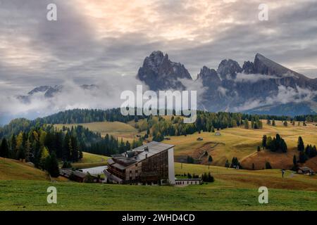 Vue sur la Seiser Alm jusqu'au Langkofel (3181m) et au Plattkofel (2969m) en automne, Parc naturel Schlern-Rosengarten, Val Gardena, Province de Bolzano, Haut Adige, Tyrol du Sud, Alpes, Dolomites, Trentin-Tyrol du Sud, Italie, Italia Banque D'Images