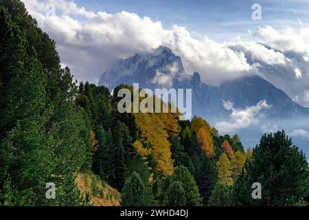 Vue de l'Alp Seceda au Sassolungo (3181m), Parc naturel de Puez-Odle, Val Gardena, Province de Bolzano, Haut Adige, Tyrol du Sud, Alpes, Dolomites, Trentin-Haut-Adige, Italie, Italia Banque D'Images