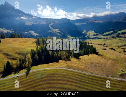 Vue sur la Seiser Alm vers le Plattkofel en automne, Parc naturel Schlern-Rosengarten, Val Gardena, Province de Bolzano, Haut Adige, Tyrol du Sud, Alpes, Dolomites, Trentin-Tyrol du Sud, Italie, Italia Banque D'Images