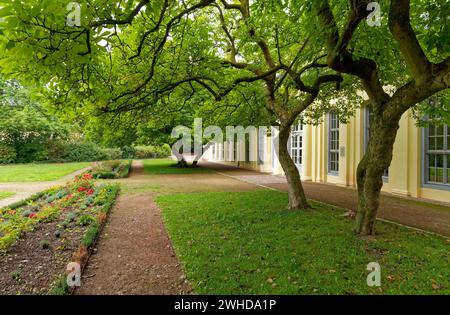 L'orangerie dans le parc du palais du palais résidentiel de la Skatstadt Altenburg, Thuringe, Allemagne Banque D'Images