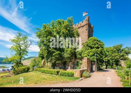 Château de Klopp près de Bingen am Rhein, château perché sur une colline avec une architecture néo-gothique historique bien conservée, patrimoine mondial de l'UNESCO Haut Rhin moyen vallée, Rhénanie-Palatinat, Allemagne Banque D'Images