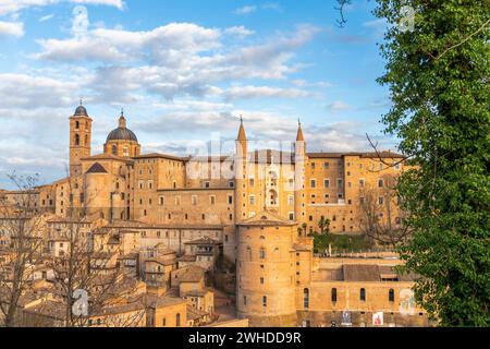 La ville d'Urbino vue du point panoramique sur la colline adjacente. Europe, Italie, Marches, province de Pesaro Urbino, Urbino Banque D'Images