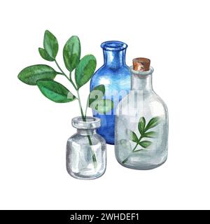 Bouteilles médicales avec des plantes. Aquarelle illustration dessinée à la main. Composition avec flacons médicaux et herbes. Clipart sur fond blanc sur le thème Banque D'Images