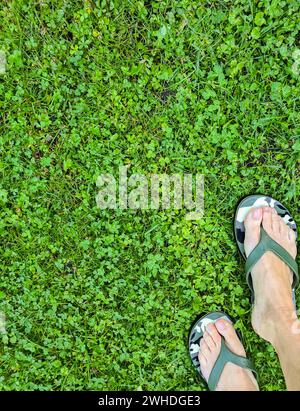 Pieds de femme debout pieds nus dans des tongs à l'extérieur sur l'herbe verte avec des trèfles, Allemagne Banque D'Images