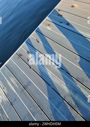 De longues ombres dans la lumière du soleil avec une atmosphère d'automne sur une passerelle en bois moderne au-dessus de la Wannsee Banque D'Images