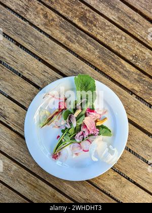 Déchets végétaux et restes de radis et de légumes comme aliments biologiques sur des assiettes Banque D'Images