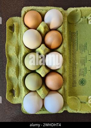 Oeufs biologiques frais dans un carton d'oeufs, oeufs de pays en vert, brun et blanc Banque D'Images