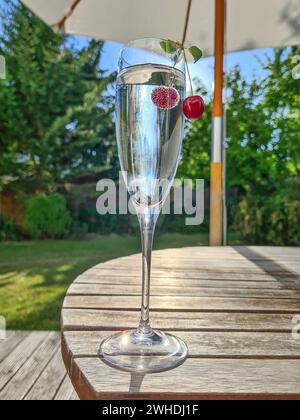 Eau minérale dans une coupe de champagne avec des cerises comme rafraîchissement sans alcool dans l'après-midi, vue sur le jardin Banque D'Images