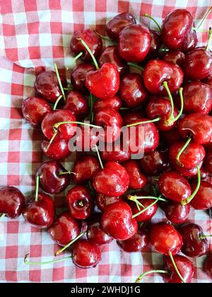 Les cerises rouges foncées fraîchement cueillies reposent sur un torchon à carreaux rouge et blanc Banque D'Images