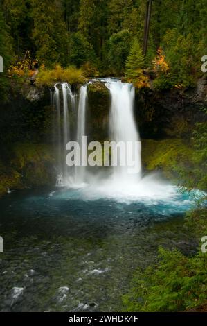 Koosah Falls, McKenzie Wild and Scenic River McKenzie, Col Pass-Santiam National Scenic Byway, forêt nationale de Willamette, Oregon Banque D'Images