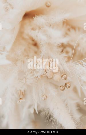 Anneaux de mariage dans la boîte de bague, mariage boho, fleurs séchées et herbe de pampas Banque D'Images