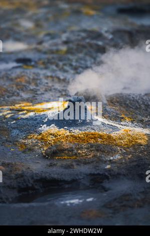 Fumerolles et solfataras dans la zone géothermique de Hverarönd, Hverir, mafjall, Islande Banque D'Images