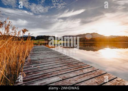 Attlesee près de Nesselwang dans une ambiance nocturne automnale avec coucher de soleil. Roseaux et passerelle en bois au premier plan, Alpes de Allgäu en arrière-plan. Allgäu est, Allgäu, Souabe, Bavière, Allemagne du Sud, Allemagne Banque D'Images