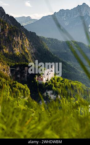 Château de Neuschwanstein en face des montagnes des Alpes de Allgäu par une journée ensoleillée au début de l'été. Herbe au premier plan. Allgäu est, Allgäu, Bavière, Allemagne, Europe Banque D'Images