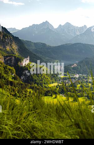 Château de Neuschwanstein en face des montagnes des Alpes de Allgäu par une journée ensoleillée au début de l'été. Herbe au premier plan. Allgäu est, Allgäu, Bavière, Allemagne, Europe Banque D'Images