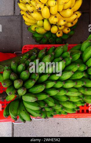 Grappe de bananes vertes et jaunes fraîches sur un marché à Tahiti, Polynésie française Banque D'Images