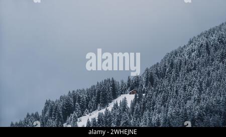 Une cabane en bois dans les Alpes autrichiennes entourée d'une forêt de conifères enneigée, ciel nuageux, ambiance sombre, bleu monochrome, espace copie, espace négatif Banque D'Images