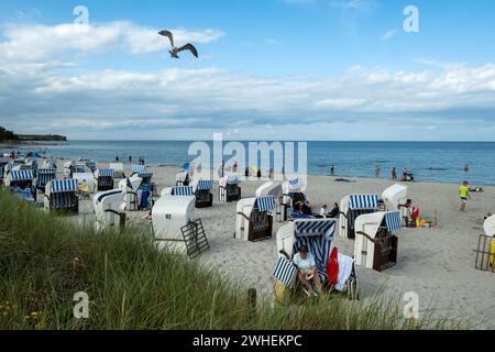 '19.08.2021, Allemagne, Mecklembourg-Poméranie occidentale, Boltenhagen - station balnéaire Baltique Boltenhagen, touristes sur la plage de sable avec chaises longues. 0 Banque D'Images