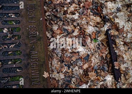 '25.01.2024, Allemagne, Berlin, Berlin - Mémorial de la voie 17 à la gare de Grunewald. La voie 17 de la station de S-Bahn Grunewald à Berlin est un mémorial commémoratif Banque D'Images