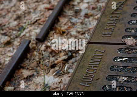 '26.01.2024, Allemagne, Berlin, Berlin - Mémorial de la voie 17 à la gare de Grunewald. La voie 17 de la station de S-Bahn Grunewald à Berlin est un mémorial commémoratif Banque D'Images