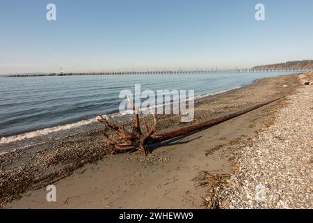 Plage Whiterock en Colombie-Britannique Canada Banque D'Images