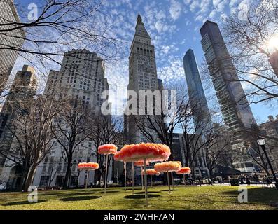 New York, New York, États-Unis. 9 février 2024. Une vue de l'exposition d'art publique de l'artiste Ana Maria Hernando ''˜to Let the Sky Know/ Dejar que el cielo sepa' tenue au Madison Square Park à Nomad. Ana Maria Hernando utilise le tulle, un filet de tissu, pour créer des sculptures inspirées de formes naturelles et transformées par le processus de couture. (Crédit image : © Nancy Kaszerman/ZUMA Press Wire) USAGE ÉDITORIAL SEULEMENT! Non destiné à UN USAGE commercial ! Crédit : ZUMA Press, Inc/Alamy Live News Banque D'Images