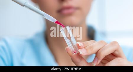 Le scientifique pipette dans une cuvette Banque D'Images