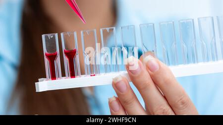 Scientifique pipettant dans des cuvettes Banque D'Images