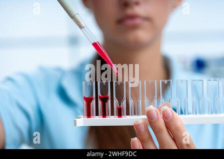 Scientifique pipettant dans des cuvettes Banque D'Images