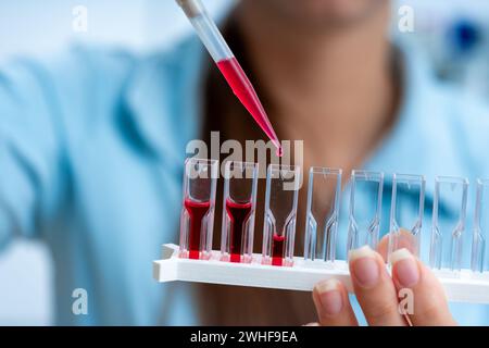 Scientifique pipettant dans des cuvettes Banque D'Images