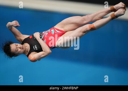 Doha. 9 février 2024. La chinoise Chang Yani participe à la finale féminine de tremplin du 3m des Championnats du monde de natation 2024 à Doha, Qatar, le 9 février 2024. Crédit : Xue Yuge/Xinhua/Alamy Live News Banque D'Images