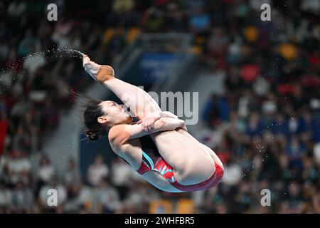 Doha. 9 février 2024. La chinoise Chang Yani participe à la finale féminine de tremplin du 3m des Championnats du monde de natation 2024 à Doha, Qatar, le 9 février 2024. Crédit : Xue Yuge/Xinhua/Alamy Live News Banque D'Images