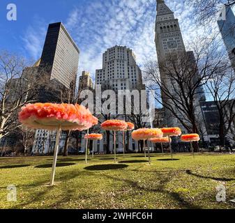 New York, New York, États-Unis. 9 février 2024. Une vue de l'exposition d'art publique de l'artiste Ana Maria Hernando 'To Let the Sky Know/ Dejar que el cielo sepa' qui s'est tenue au Madison Square Park à Nomad. Ana Maria Hernando utilise le tulle, un filet de tissu, pour créer des sculptures inspirées de formes naturelles et transformées par le processus de couture. (Crédit image : © Nancy Kaszerman/ZUMA Press Wire) USAGE ÉDITORIAL SEULEMENT! Non destiné à UN USAGE commercial ! Banque D'Images