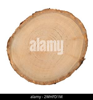 Tranche de bûche de bois Banque D'Images