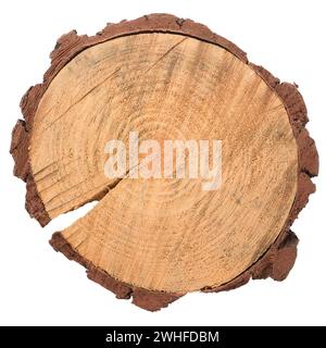 Tranche de bûche de bois Banque D'Images
