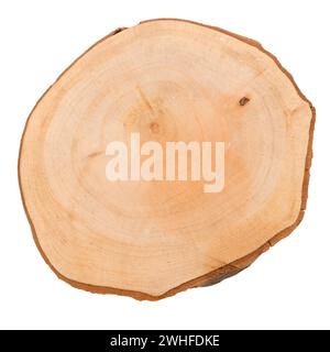 Tranche de bûche de bois Banque D'Images