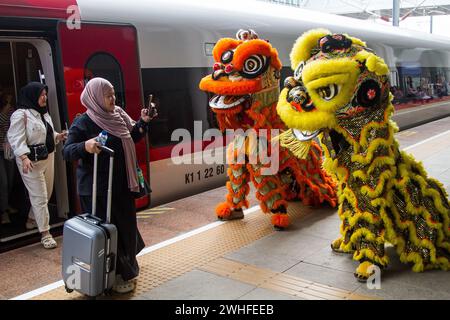 Bandung, Java occidental, Indonésie. 10 février 2024. Barongsai Lion Dance divertit passanger à la gare ferroviaire à grande vitesse de Padalarang, Bandung marquant la célébration du nouvel an lunaire chinois du Dragon qui tombe le 10 février. (Crédit image : © Algi Febri Sugita/ZUMA Press Wire) USAGE ÉDITORIAL SEULEMENT! Non destiné à UN USAGE commercial ! Banque D'Images