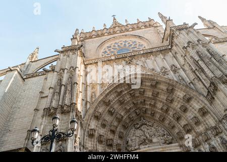 Porte de la cathédrale de Séville Banque D'Images