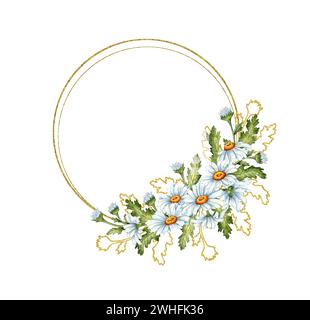 Illustration aquarelle d'un cadre rond doré fait de marguerites blanches, de feuilles vertes et de contours bruns. Composition de fleurs de prairie isolées pour mariage Banque D'Images
