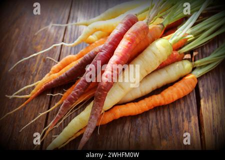 Les carottes. Colorés frais carottes sur fond rustique foncé Banque D'Images