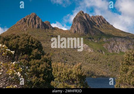 Cradle Mountain surplombe le lac Dove, Tasmanie, Australie Banque D'Images