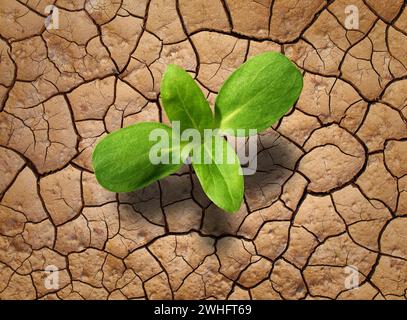 Sol sec avec jeune plante Banque D'Images
