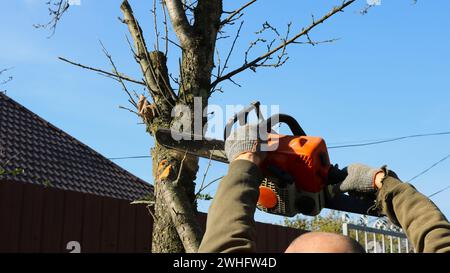 un homme scie les branches d'un arbre avec une tronçonneuse la tenant au-dessus de sa tête, coupant les branches supérieures sur le tronc d'un arbre fruitier dans le village Banque D'Images