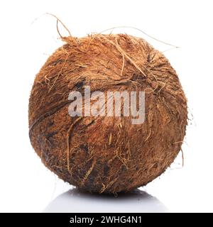 Noix de coco aux fruits tropicaux frais sur fond blanc Banque D'Images